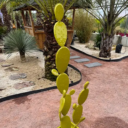 Cactus feuilles
