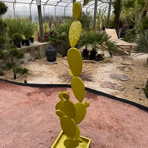 Cactus feuilles