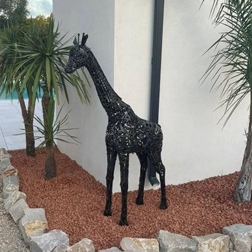 Petite girafe