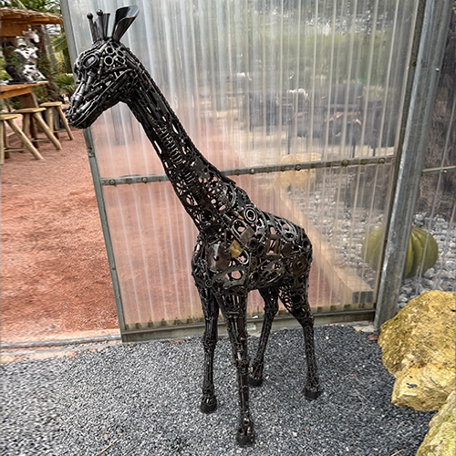 Petite girafe