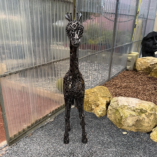 Petite girafe