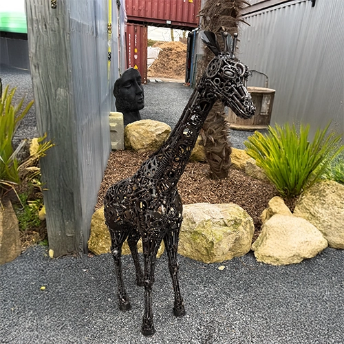 Petite girafe